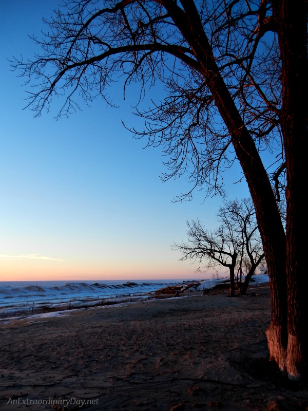 Off the beaten path | Lake Michigan Tree Sunset Silhouette