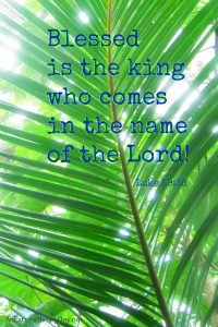 Palm Sunday | Scripture - Luke 19:38