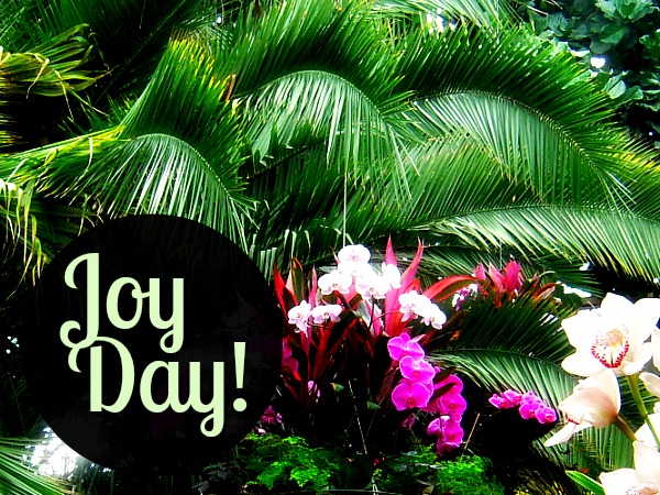 Join us in counting our blessings, it's Joy Day! 