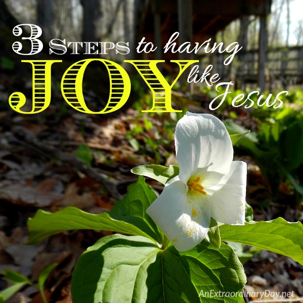 3 Steps to having JOY like Jesus