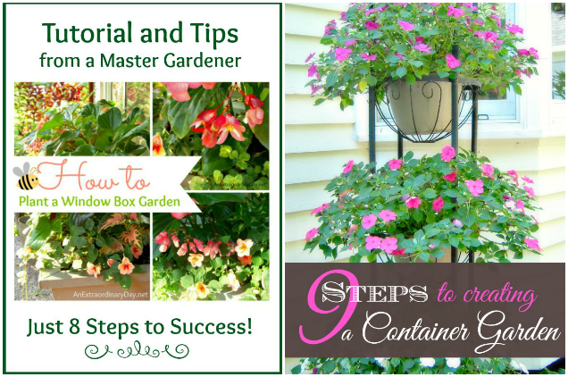Window Box and Container Gardening Tips and Tutorials from a Master Gardener