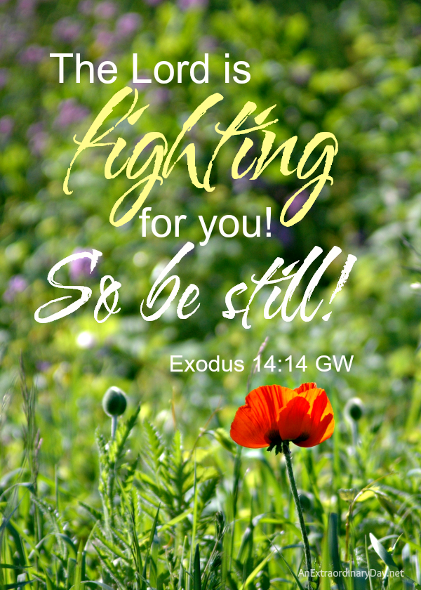 Scripture verse  - Exodus 14:14 - The Lord is fighting for you! So be still! 