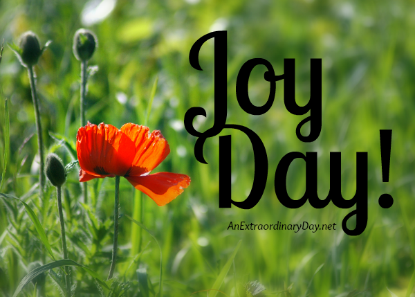  JoyDay! - Joy us in counting our blessings... it's a great way to put joy in your life.