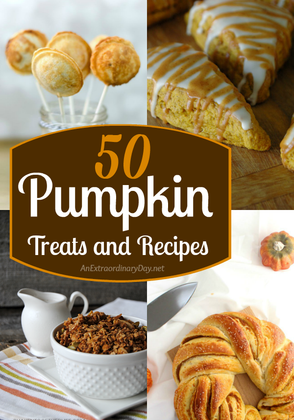 50 Pumpkin Treats and Recipes to Make You Drool - AnExtraordinaryDay.net