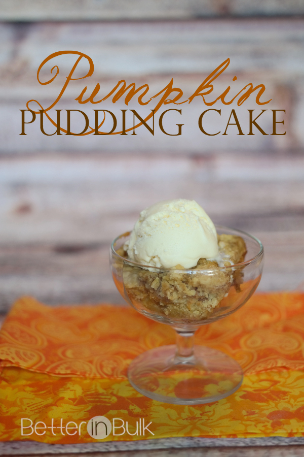 Pumpkin Treats and Recipes to Make You Drool... Pumpkin Pudding Cake