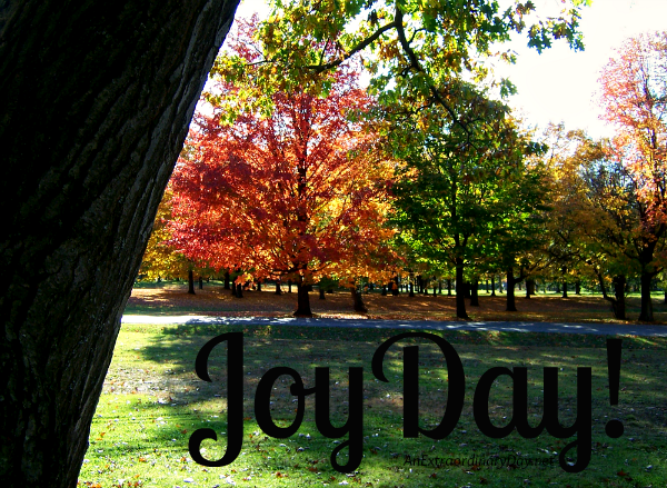 God is beginning a new work - JoyDay! - AnExtraordinaryDay.net