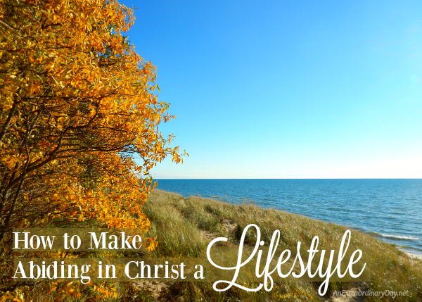 How to make abiding in Christ a Lifestyle - AnExtraordinaryDay.net