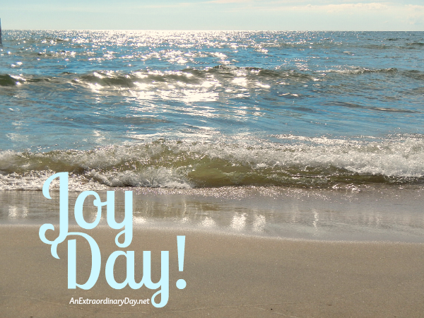 There's only one way... JoyDay! - AnExtraordinaryDay.net