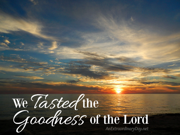 We Tasted the Goodness of the Lord JoyDay!