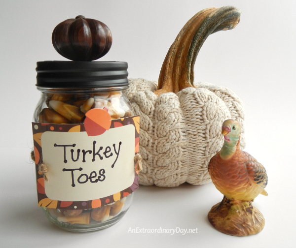 Sweater Pumpkin and Turkey Toes ~ Quick and Fun Mason Jar Gift Project - AnExtraordinaryDay.net