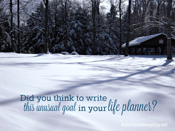 Did You Think to Write this Unusual Goal in Your Life Planner ?
