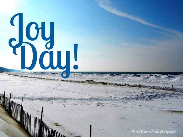 Icy Lake Michigan Shoreline - It's JoyDay!