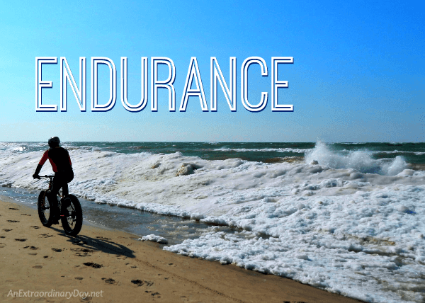 Endurance Devotional - Beach Bike Rider along Frozen Lake Michigan Shoreline