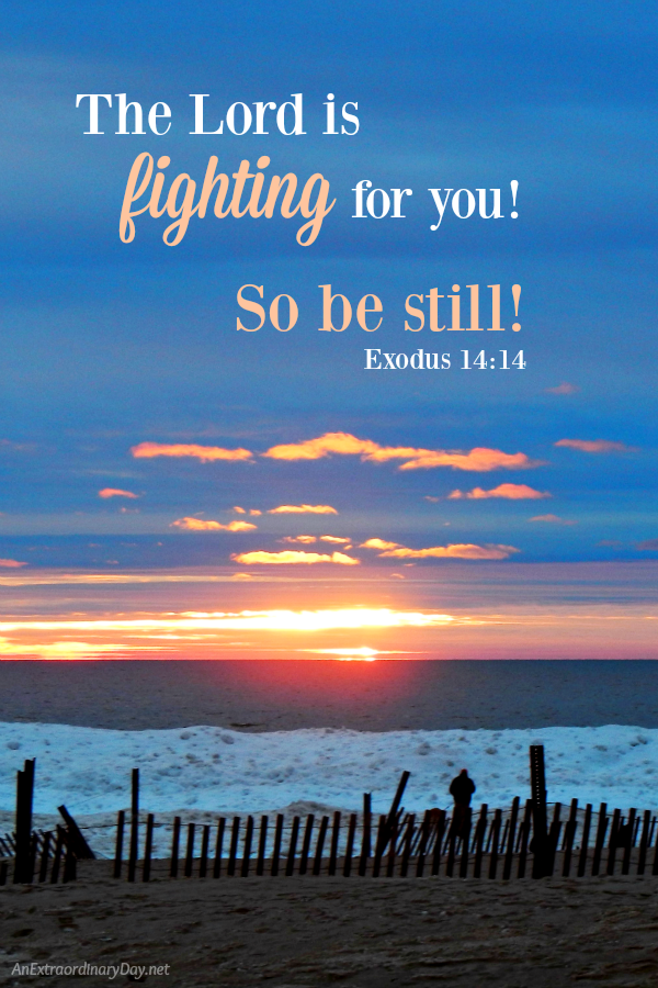 What to do when faced with difficult times - Scripture Photo Exodus 14 - The Lord is fighting for you