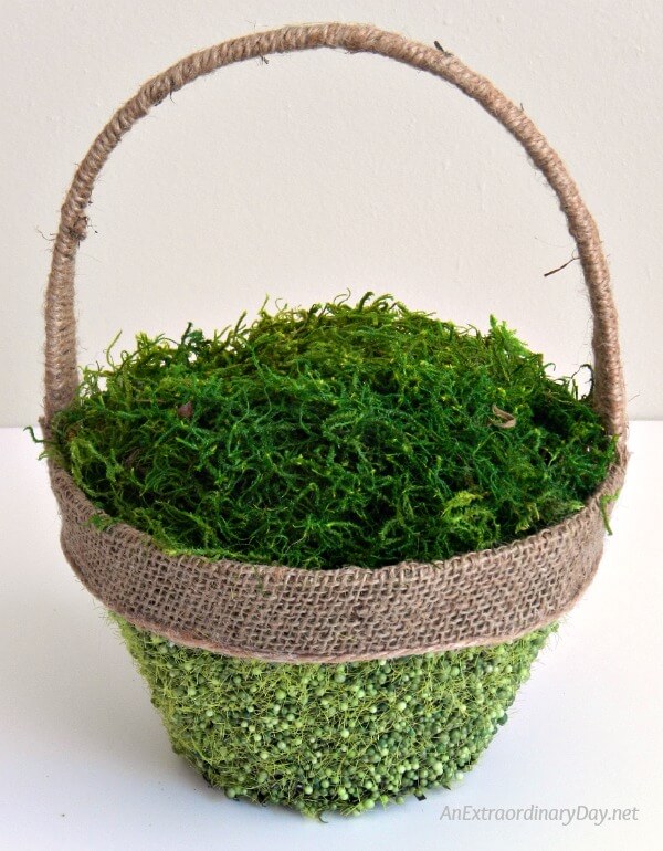 Basket begins its makeover to mossy loveliness 