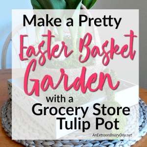 EASY - Make a Pretty Easter Basket Garden with a Grocery Store Tulip Pot - AnExtraordinaryDay.net