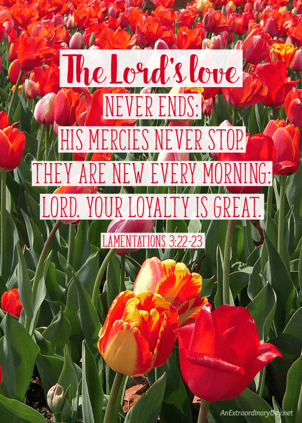 You'll Get Joy When You Turn Truth into Worship - This simple concept can change your devotional time and even corporate worship time. | Scripture Image - The Lord's love never ends: His mercies never stop.... From Lamentations 3 | AnExtraordinaryDay.net