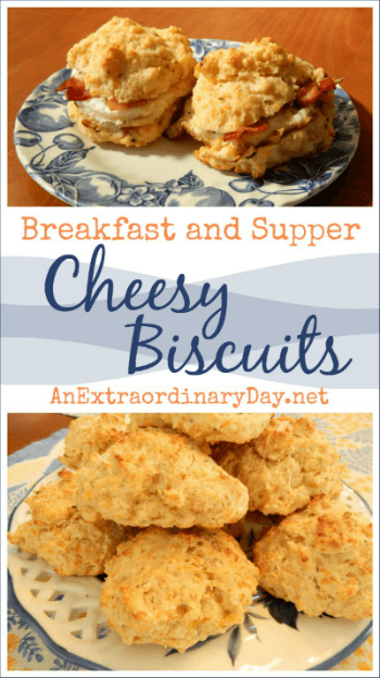 Delicious and Easy Cheesy Supper and Breakfast Biscuits Recipe AnExtraordinaryDay.net