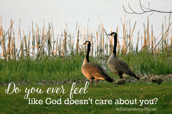 Do you ever feel like God doesn't care about you? Encouragement here for those days when you feel that way. - AnExtraordinaryDay.net