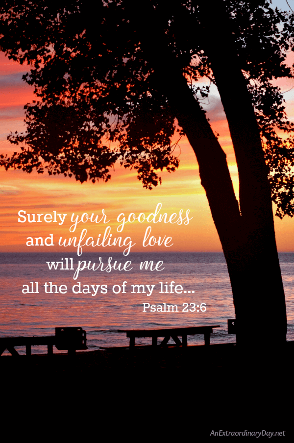 Surely your goodness and unfailing love will pursue me all the days of my life... Scripture Verse  from Psalm 23 - Join me for a devotional mediation to encourage you through tough times at AnExtraordinaryDay.net