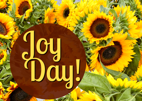 A mass of sunflowers - JoyDay! - AnExtraordinaryDay.net