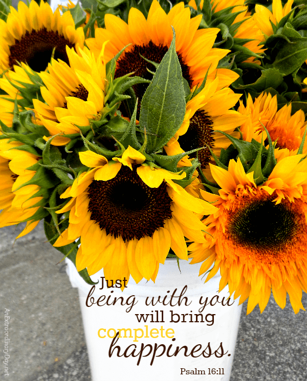 Sunflowers & Scripture Verse from Psalm 16 - Just being with joy will bring complete happiness. AnExtraordinaryDay.net inspiration