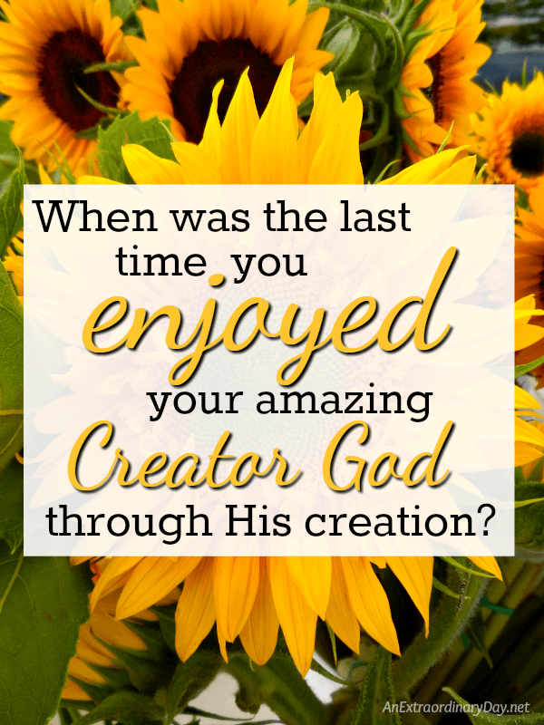 When was the last time you enjoyed your amazing Creator God through His creation I know... good question. Click on over for a brief inspiring devotional at AnExtraaordinaryDay.net