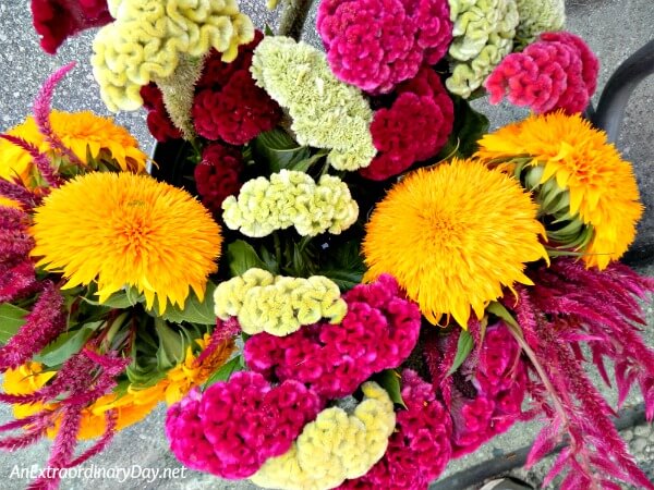 Gorgeous fall flowers at the farmers market and a story about some birthday healing balm at AnExtraordinaryDay.net