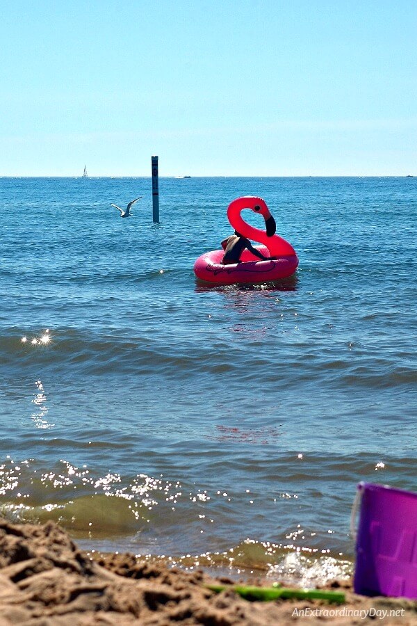 Special moments at the beach - lovely Lake Michigan beach moments - AnExtraordinaryDay.net