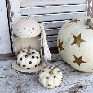 Decorate Pretty Pumpkins for Fall - Petticoat Junktion featured at Project Inspire{d}