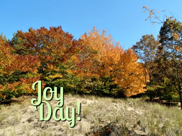 JoyDay! A day of discovery and delight - AnExtraordinaryDay.net