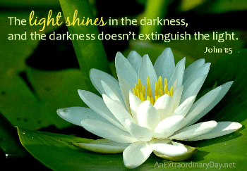 "The light shines in the darkness...." scripture from John 1:5 - AnExtraordinaryDay.net