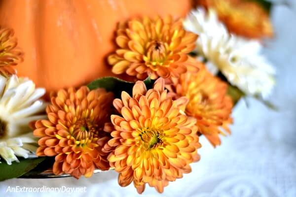 Fresh mums and fresh leaves with faux flowers and faux leaves ring around the pumpkins for a budget friendly Thanksgiving centerpiece. 