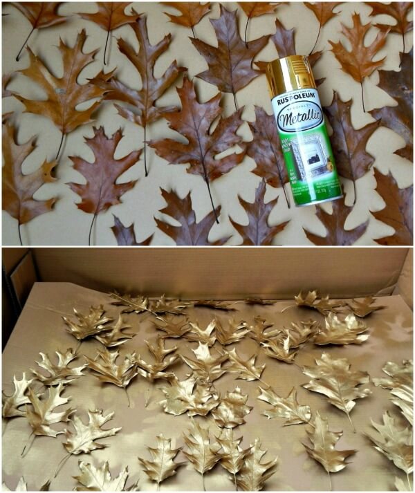 Gild oak leaves with gold spray paint for a classy Christmas wreath