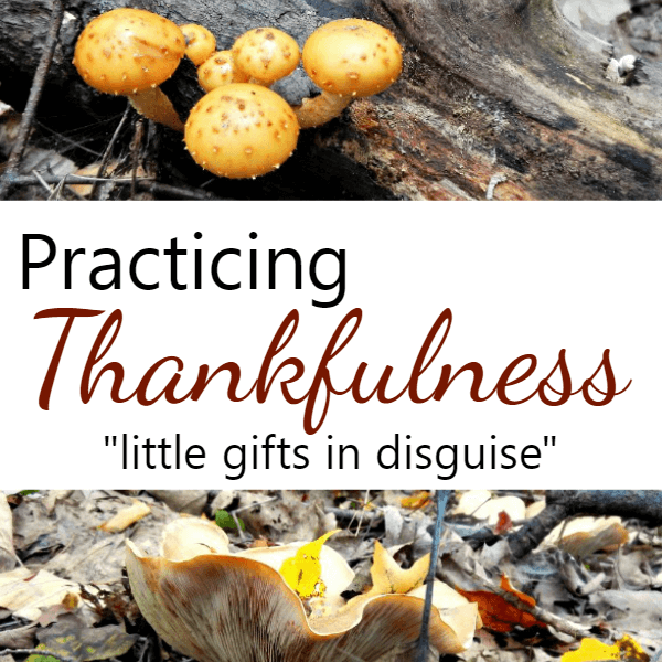 Practicing Thankfulness by Discovering those Little Gifts in Disguise - AnExtraordinaryDay.net