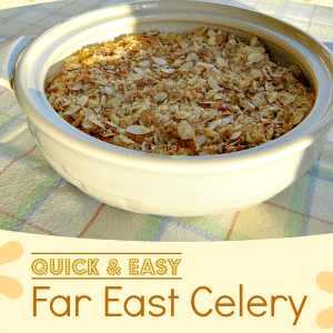 Quick and Easy Far East Celery Side Dish - AnExtraordinaryDay.net