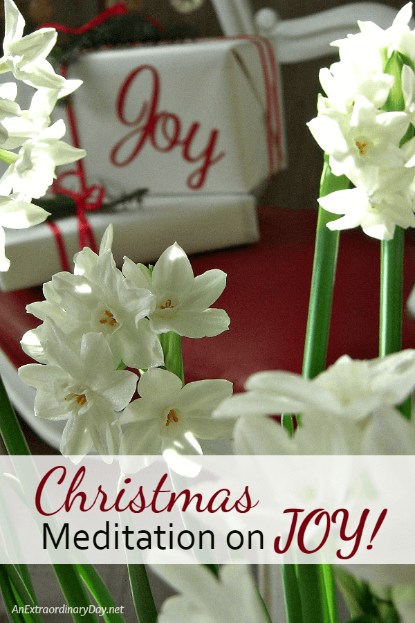 Christmas meditation on JOY ~ for the 3rd week of Advent you don't want to miss this...