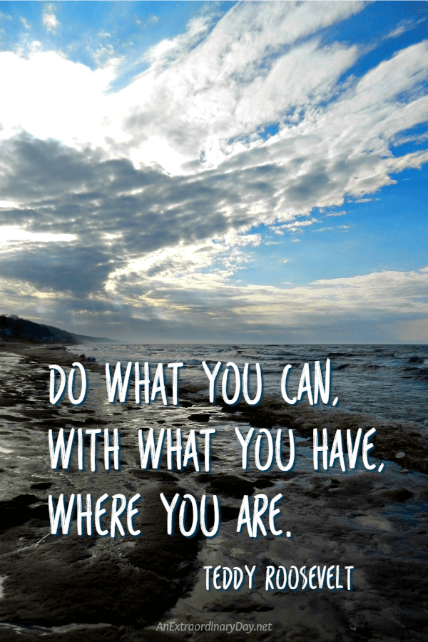 Inspiration for the New Year: No coulda, woulda, shouldas! Instead... "Do what you can, with what you have, where you are. - Teddy Roosevelt Quote 