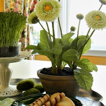 5 Steps to a Quick and Easy Simple Spring Vignette in Greens 