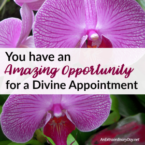 Title: Don't miss this amazing opportunity for a Divine Appointment