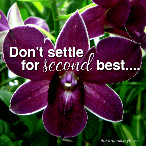 Don't settle for second best when God has the VERY BEST waiting for you. 