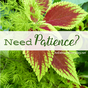 Have you been praying for patience Stop!