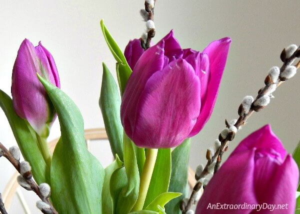 Pretty purple tulip centerpiece set in a silver bowl unexpectedly polished by WD-40 - Check out this fabulous Life Hack