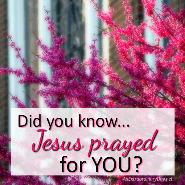 Jesus Prayed for Your JOY - A Meditation on Protection and Joy that Jesus Prayed for YOU