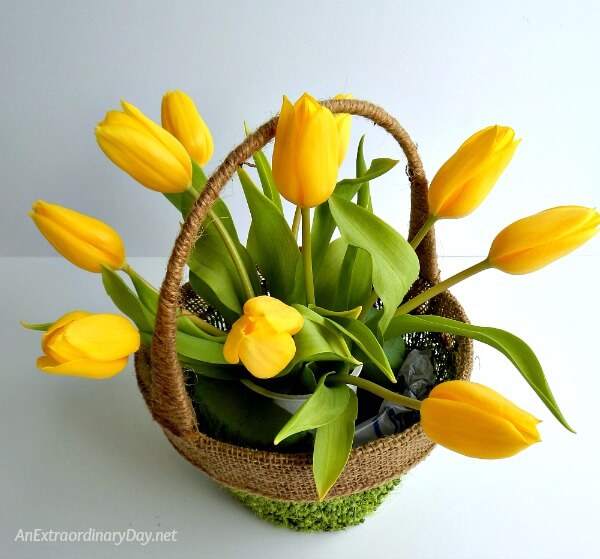 EASY Tutorial and Tips for Arranging Tulips