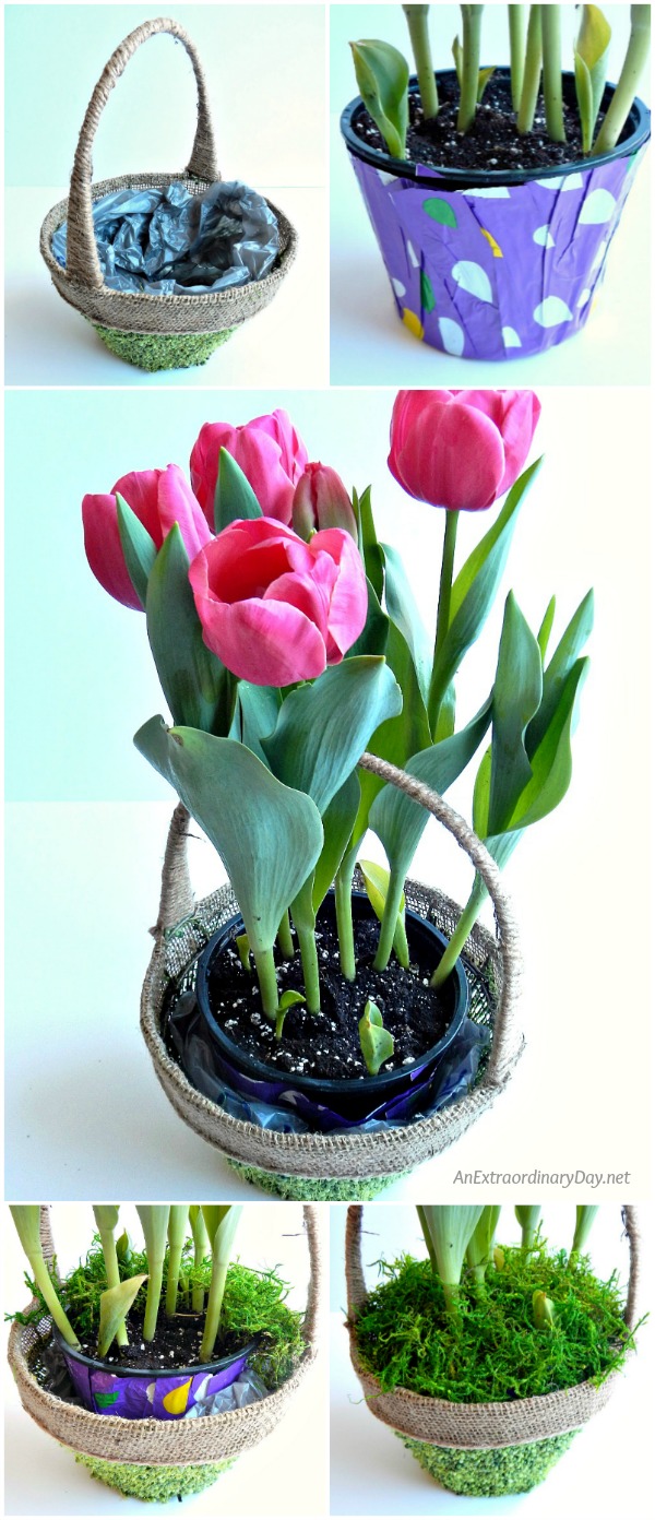 How to fill an Easter basket with a pot of tulips