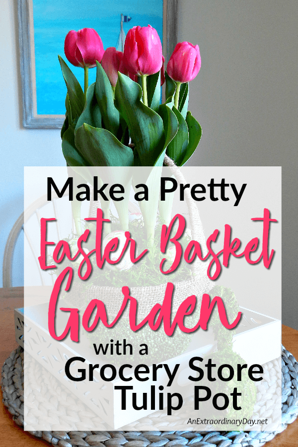 Make a Pretty Easter Basket Garden with a Grocery Store Tulip Pot 