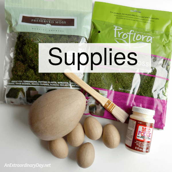 Supplies for Making the Perfect Mossy Eggs