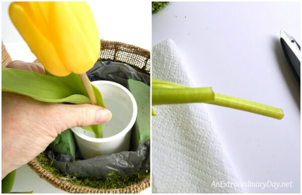 Tulip Arranging Tips & Tutorial 