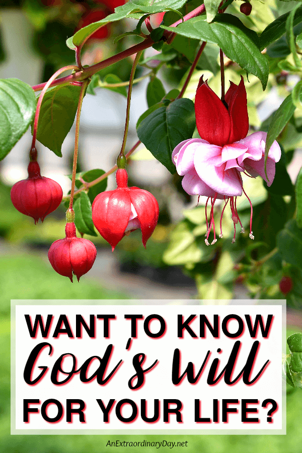 4 Tips for Knowing God's Will for Your Life